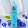Vapetasia Blue Razz 3500 Puff